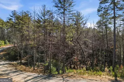 0 Mountain Laurel, Mineral Bluff, GA 30559 - Photo 8