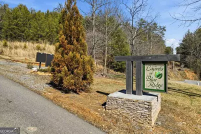 0 Mountain Laurel, Mineral Bluff, GA 30559 - Photo 6