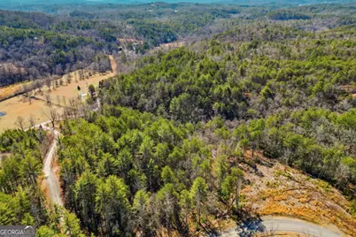 0 Mountain Laurel, Mineral Bluff, GA 30559 - Photo 16