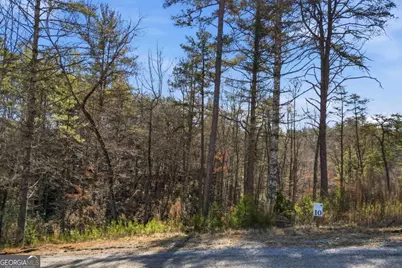 0 Mountain Laurel, Mineral Bluff, GA 30559 - Photo 14