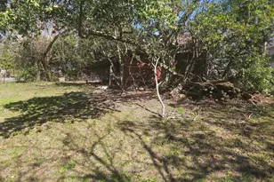 401 E Ogeechee St, Sylvania, GA 30467 - Photo 22