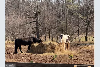 175 Yogi Bear Boulevard, Cleveland, GA 30528 - Photo 32