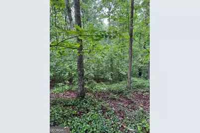 0 Scales Creek Road, Homer, GA 30547 - Photo 12