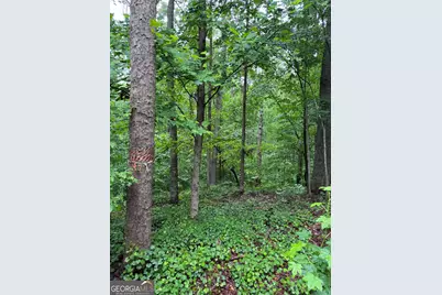 0 Scales Creek Road, Homer, GA 30547 - Photo 14