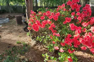 180 Sycamore Bend, Fayetteville, GA 30214 - Photo 30