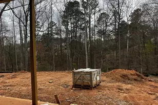 Lot 174 Snug Harbor Pl, Newnan, GA 30263 - Photo 10