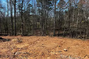 Lot 174 Snug Harbor Pl, Newnan, GA 30263 - Photo 16