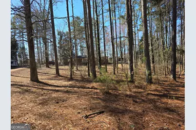 731 Seabreeze Lake Rd, Buchanan, GA 30113 - Photo 2