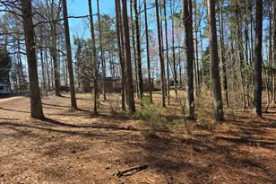 731 Seabreeze Lake Rd, Buchanan, GA 30113 - Photo 2