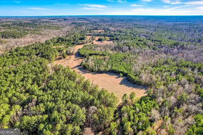 1138 Ben Lane, Lincolnton, GA 30817 - Photo 16