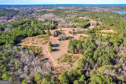 1138 Ben Lane, Lincolnton, GA 30817 - Photo 12