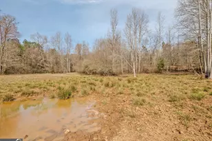 1363 McFarlin Bridge Rd, Carnesville, GA 30521 - Photo 56