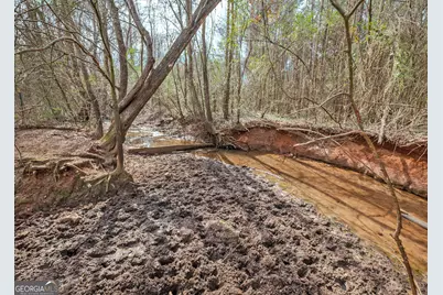 1363 McFarlin Bridge Road, Carnesville, GA 30521 - Photo 58