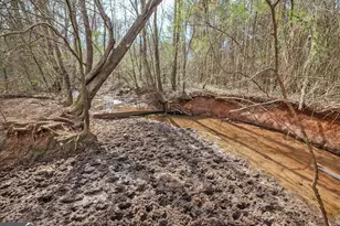 1363 McFarlin Bridge Rd, Carnesville, GA 30521 - Photo 58