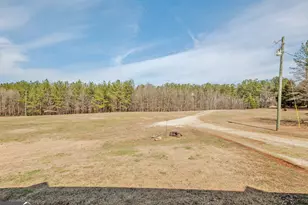 1363 McFarlin Bridge Rd, Carnesville, GA 30521 - Photo 46