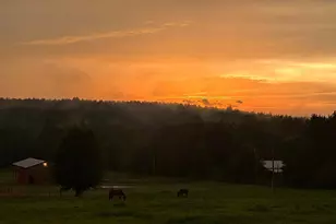 1363 McFarlin Bridge Rd, Carnesville, GA 30521 - Photo 68