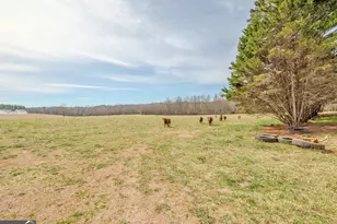 1363 McFarlin Bridge Rd, Carnesville, GA 30521 - Photo 60