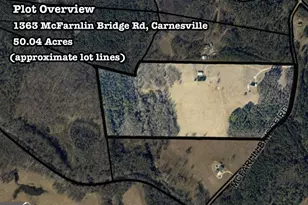 1363 McFarlin Bridge Rd, Carnesville, GA 30521 - Photo 78