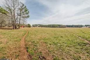 1363 McFarlin Bridge Rd, Carnesville, GA 30521 - Photo 54