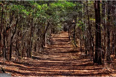 1401 Messex Road, Millen, GA 30442 - Photo 28