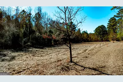 1401 Messex Road, Millen, GA 30442 - Photo 38