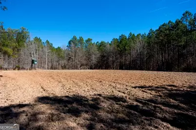 1401 Messex Road, Millen, GA 30442 - Photo 30