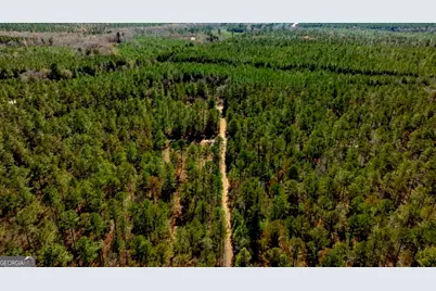 1401 Messex Road, Millen, GA 30442 - Photo 40