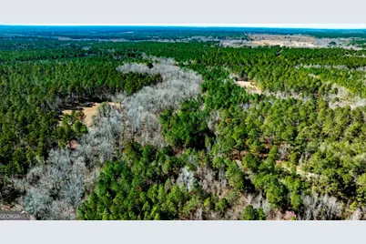 1401 Messex Road, Millen, GA 30442 - Photo 2