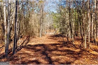 1401 Messex Road, Millen, GA 30442 - Photo 44