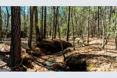 1401 Messex Road, Millen, GA 30442 - Photo 32