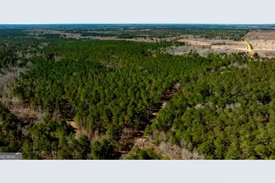 1401 Messex Road, Millen, GA 30442 - Photo 46