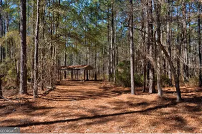 1401 Messex Road, Millen, GA 30442 - Photo 42