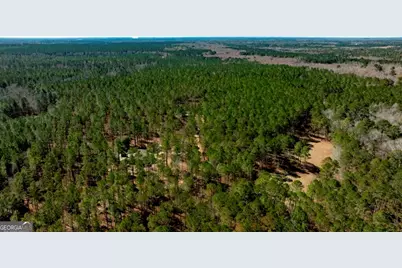 1401 Messex Road, Millen, GA 30442 - Photo 34