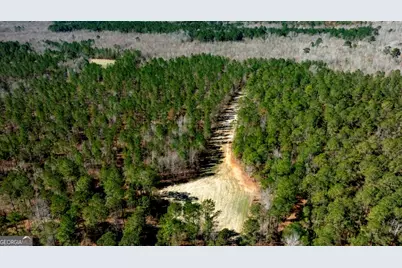 1401 Messex Road, Millen, GA 30442 - Photo 26