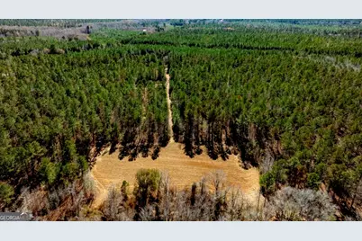 1401 Messex Road, Millen, GA 30442 - Photo 4