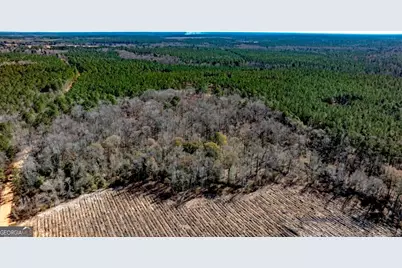 1401 Messex Road, Millen, GA 30442 - Photo 6