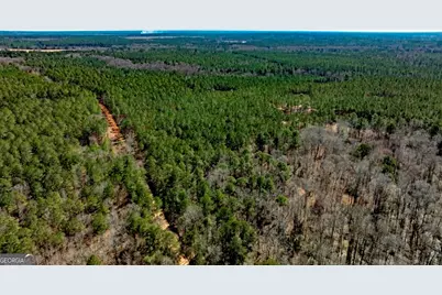 1401 Messex Road, Millen, GA 30442 - Photo 48