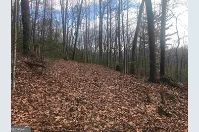 0 Shadow Mountain, Dillard, GA 30537 - Photo 2