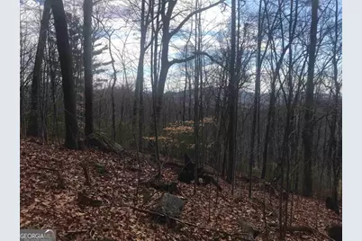 0 Shadow Mountain, Dillard, GA 30537 - Photo 4