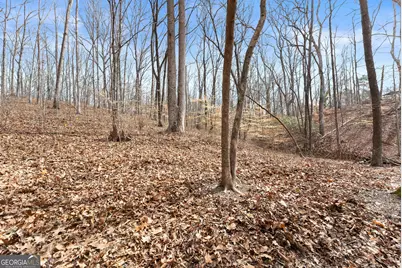 5011 Weaver Road, Gainesville, GA 30507 - Photo 56