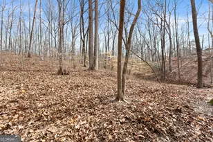 5011 Weaver Rd, Gainesville, GA 30507 - Photo 60