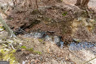 5011 Weaver Rd, Gainesville, GA 30507 - Photo 54