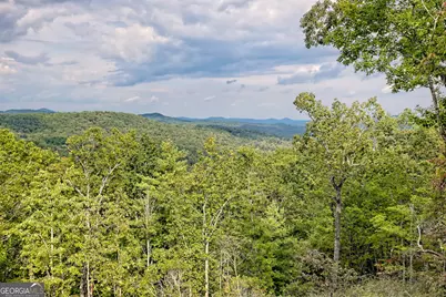 1095 Rabun Bluffs Drive, Lakemont, GA 30552 - Photo 14