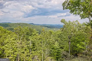 1095 Rabun Bluffs Dr, Lakemont, GA 30552 - Photo 14