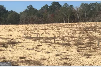 9.59 Ac Jarriel's Bridge Spur Road, Collins, GA 30421 - Photo 2