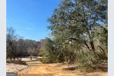 9.59 Ac Jarriel's Bridge Spur Road, Collins, GA 30421 - Photo 4