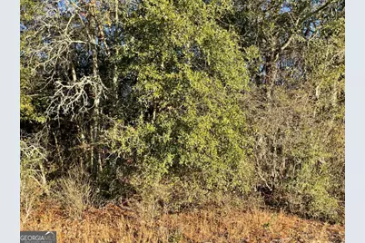 9.59 Ac Jarriel's Bridge Spur Road, Collins, GA 30421 - Photo 8