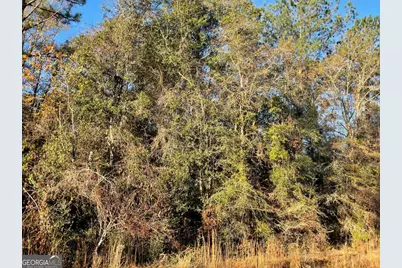 9.59 Ac Jarriel's Bridge Spur Road, Collins, GA 30421 - Photo 10