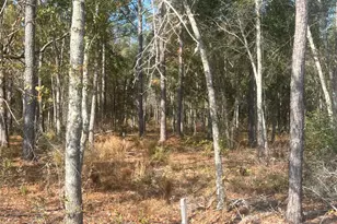 9 59 Ac Jarriel's Bridge Spur Rd, Collins, GA 30421 - Photo 1