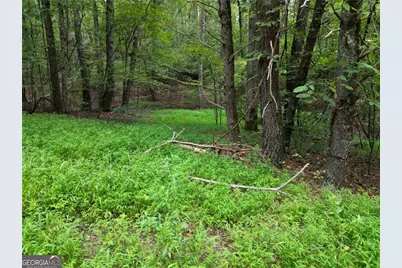 0 S Twin Oaks Drive, Ellijay, GA 30540 - Photo 8